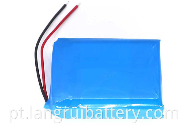 Polymer Battery